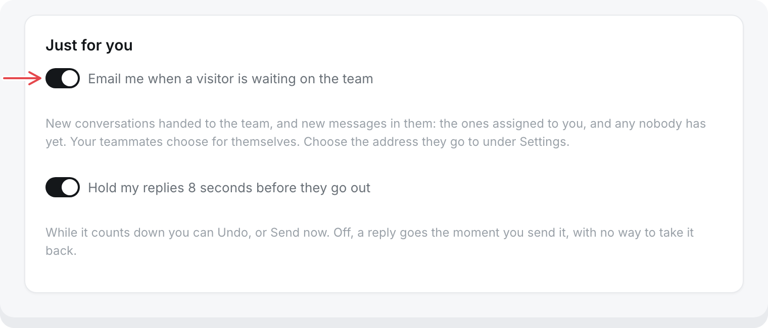 Inbox Settings, Just for you: Email me when a visitor is waiting on the team, and Hold my replies 8 seconds before they go out