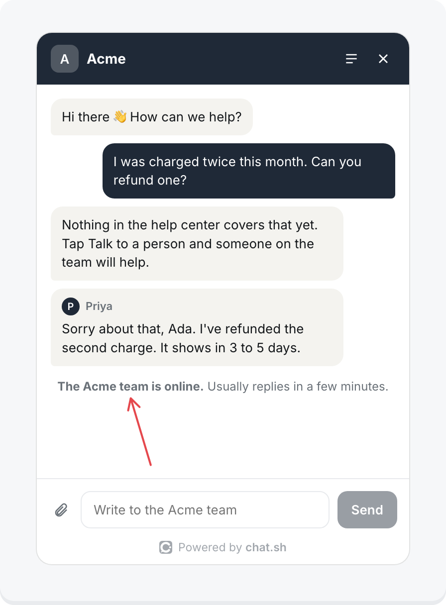 The messenger with the team: The Acme team is online, and Priya's reply